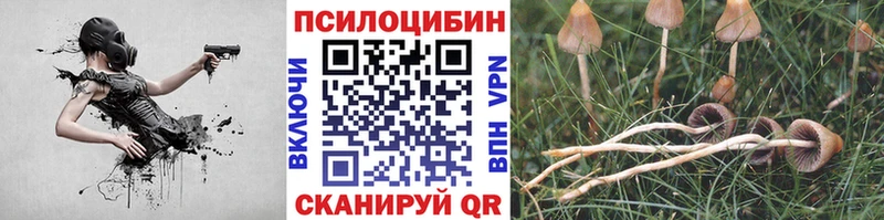 Купить где  Сафоново  Псилоцибиновые грибы мухоморы 