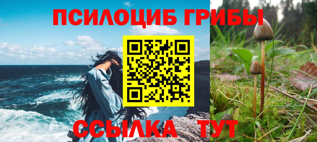 Галлюциногенные грибы мухоморы Сафоново