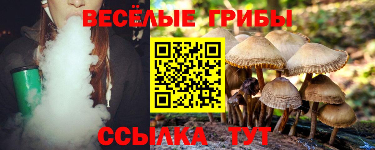 Галлюциногенные грибы мицелий  Галлюциногенные грибы Psilocybine cubensis  Вход с VPN  Сафоново 