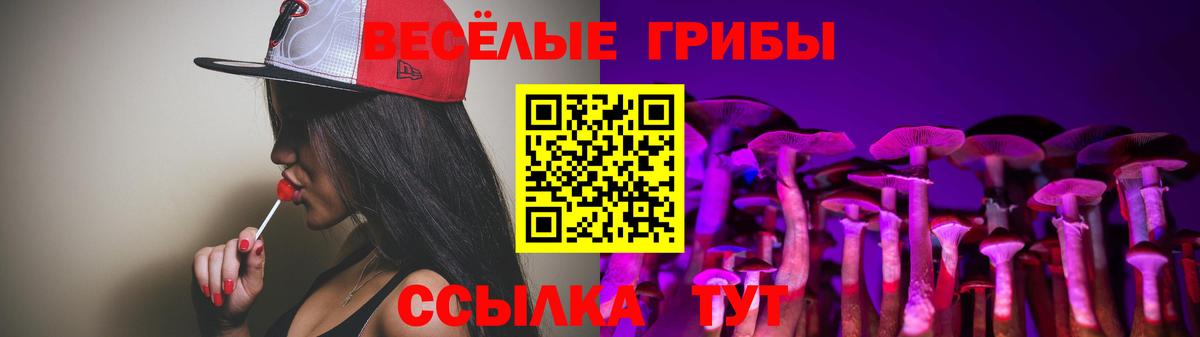 Псилоцибиновые грибы прущие грибы Сафоново