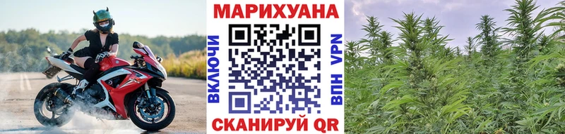 Купить  Сафоново  Бошки марихуана индика 